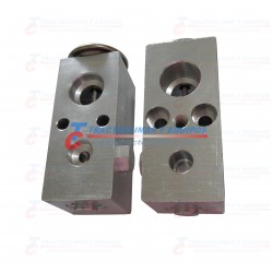 VALVULA EXPANSION NEON 00-01